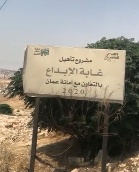 بعد نشر سرايا  ..  مصدر: كف يد وزارة الثقافة عن مشروع "غابة الإبداع" وإعادته لوزارة الزراعة 