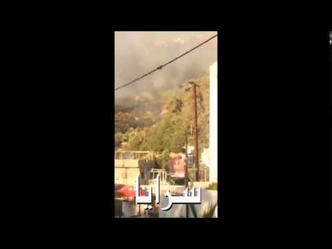 حريق بأحراش عجلون