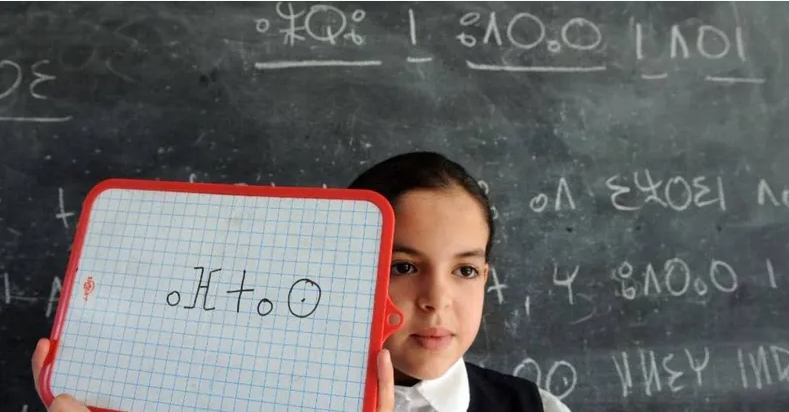 فعاليات أمازيغية في المغرب تقيّم 11 سنة من "دسترة اللغة"