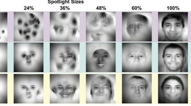 دراسة علمية تكشف سر الأشخاص الذين لا ينسون الوجوه