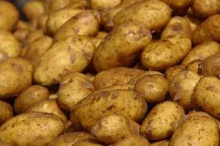 ضبط كميات من البطاطا الفاسدة في الخليل
