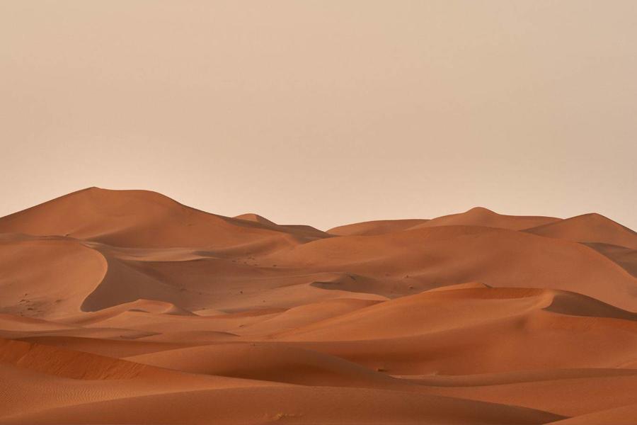 تفسير حلم العيش في الصحراء للمتزوجة