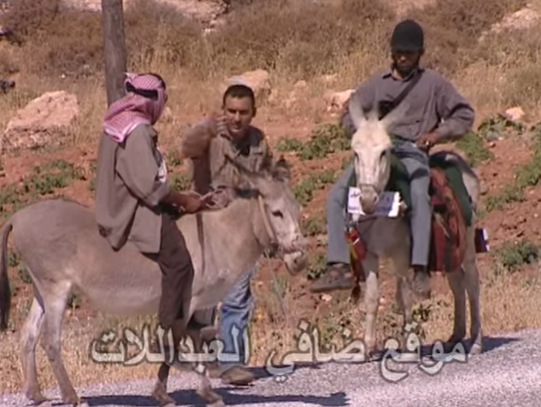 كاميرا خفية الاردن يبدء بتطبيق مخالفة السيرعلى الحمير
