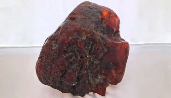 صدفة مذهلة تقود امرأة لاكتشاف كنز نادر