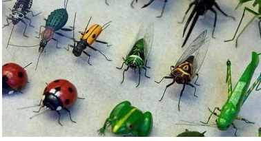 تفسير حلم الحشرات: تحولات داخلية وإحساس بالذنب أو زيادة الضغط