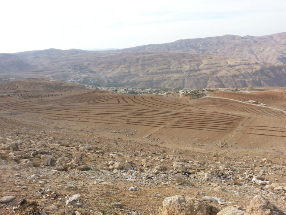 الكرك: الجفاف يقسو على المحاصيل ويلحق خسائر بالمزارعين
