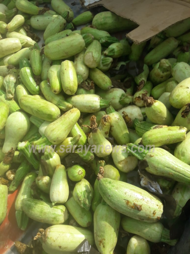 بالصور ..  ضبط 4 طن خضروات غير صالحة للاستهلاك في مادبا