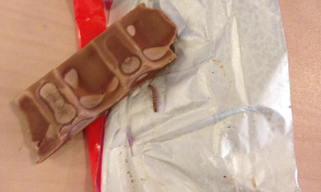 بالصور : "ديدان" بشوكولاتة "فاخرة" في عمان