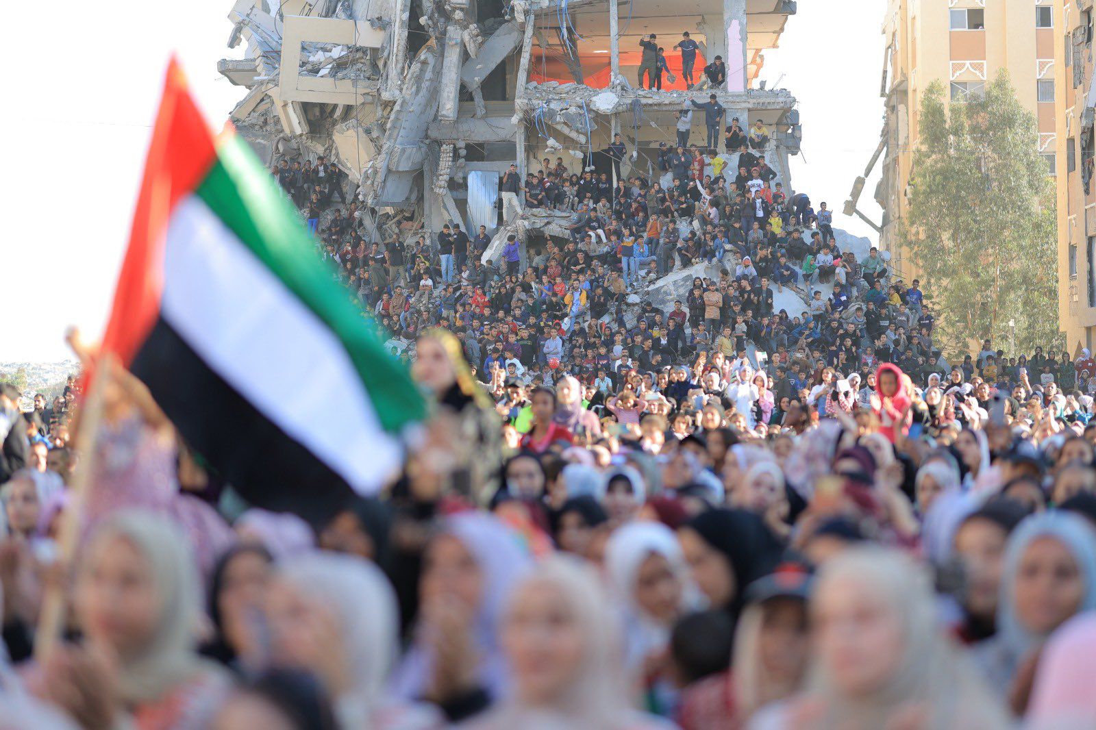 بدعم من وكالة الإمارات للمساعدات الدولية  ..  "الفارس الشهم 3" تحتفل ب 54 عريساً وعروساً من غزة