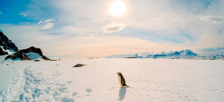 تسجيل أعلى درجة حرارة في القطب الجنوبي منذ 1983