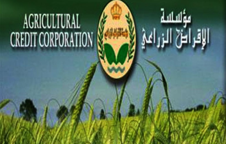 50 ألف دینار أقراض مشاریع الطاقة الشمسیة في المفرق 