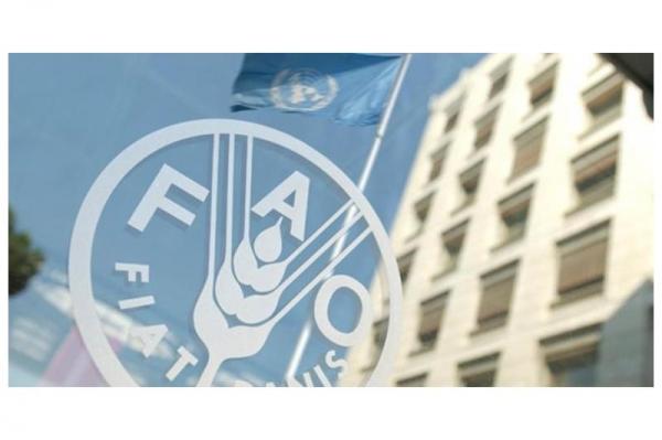 فاو: استمرار ارتفاع أسعار الغذاء عالميا للشهر الثالث على التوالي