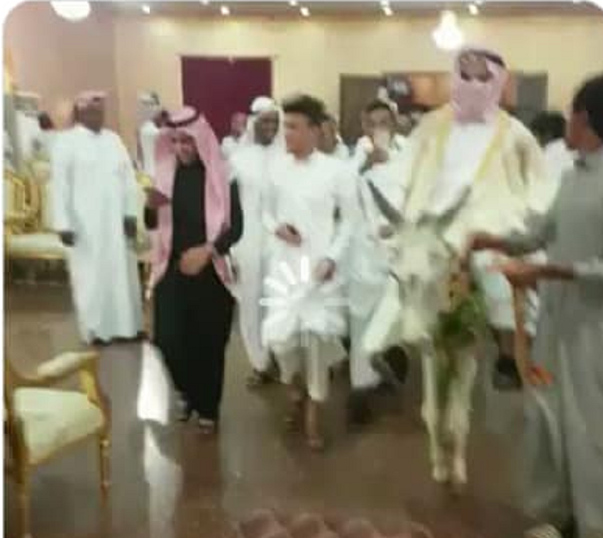 بالفيديو  ..  شاب يدخل على حمار لحضور حفل زفاف صديقه يثير مواقع التواصل الاجتماعي 