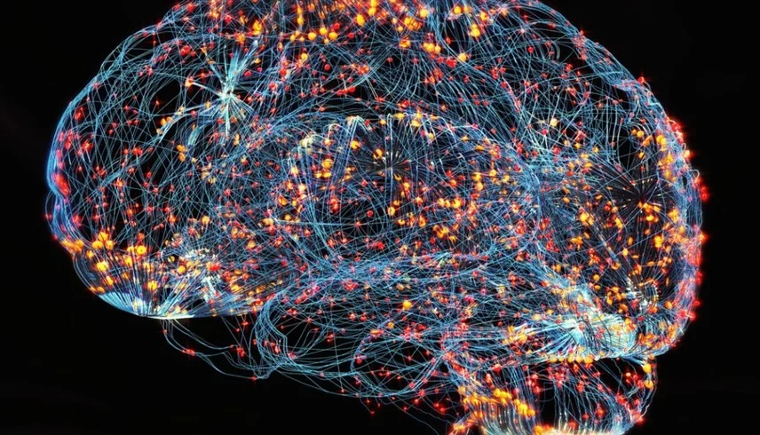 دراسة تقترح إمكانية عكس مسار الزهايمر عن طريق توازن الدماغ