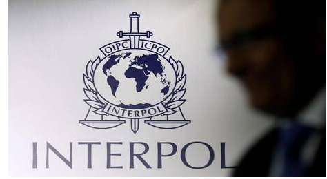 الإنتربول يلقي القبض على المصري أمير الهلالي وينهي "مسلسل" هروبه