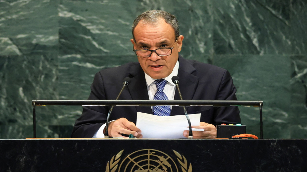 وزير خارجية مصر: لن نكون بوابة لتهجير الفلسطينيين