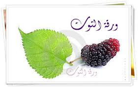 قصة ورقة التوت  ..  و الامام الشافعي 