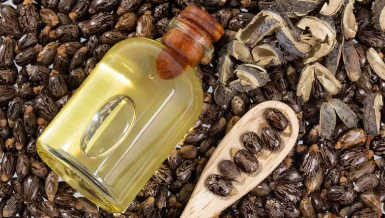 زيت الخروع ..  لماذا يستحق لقب "بوتوكس الطبيعة"؟