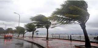 كيفية القيادة بأمان أثناء العواصف الرملية والرياح الشديدة