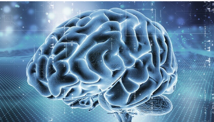 كيف نحمي أنفسنا من الاضطرابات النفسية ونحافظ على صحة الدماغ؟