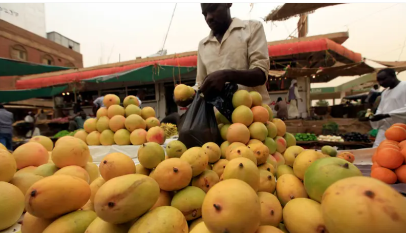 حبات مانغو تتساقط على رؤوس السودانيين بدل المطر ..  وتغلق سوقاً