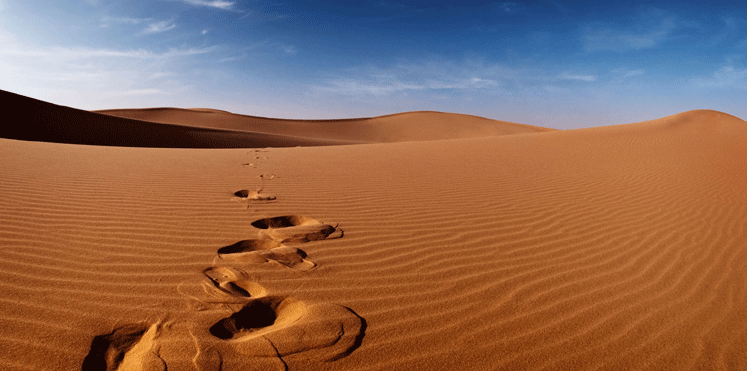 كيف نجا مهندس عربي ومرافقه من الموت عطشًا في صحراء السعودية؟
