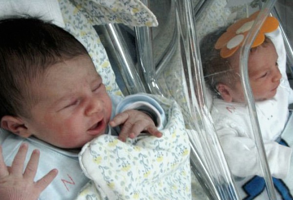 خلال فترة العدوان… غزة تُنجب 5300 مولود جديد وتودع 2140 شهيدا