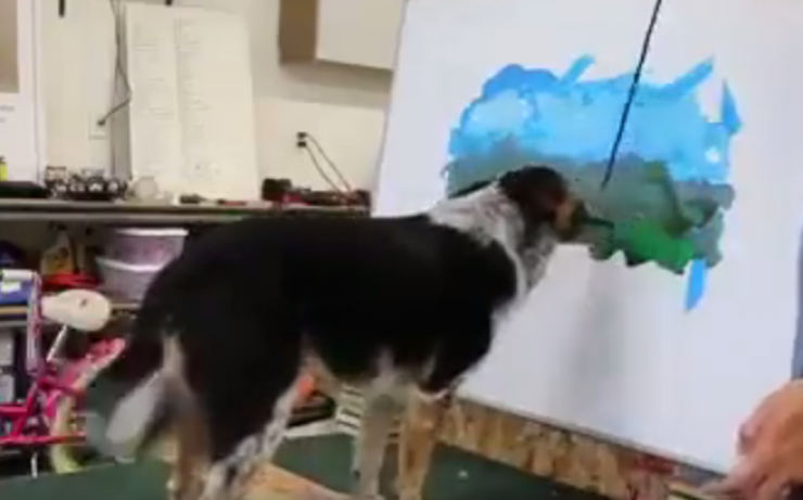 بالفيديو ..  لن تصدق .. كلب يقوم برسم لوحة فنية!