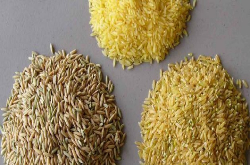 دراسة صادمة  .. الأرز يحتوي على نسبة تتراوح بين 73 و88% من هذه المادة السامة التي تؤدي للإصابة بالسرطان  ..  "تفاصيل"  