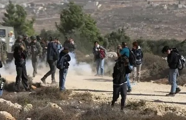 2350  اعتداء في الضفة الغربية خلال شهر أكتوبر