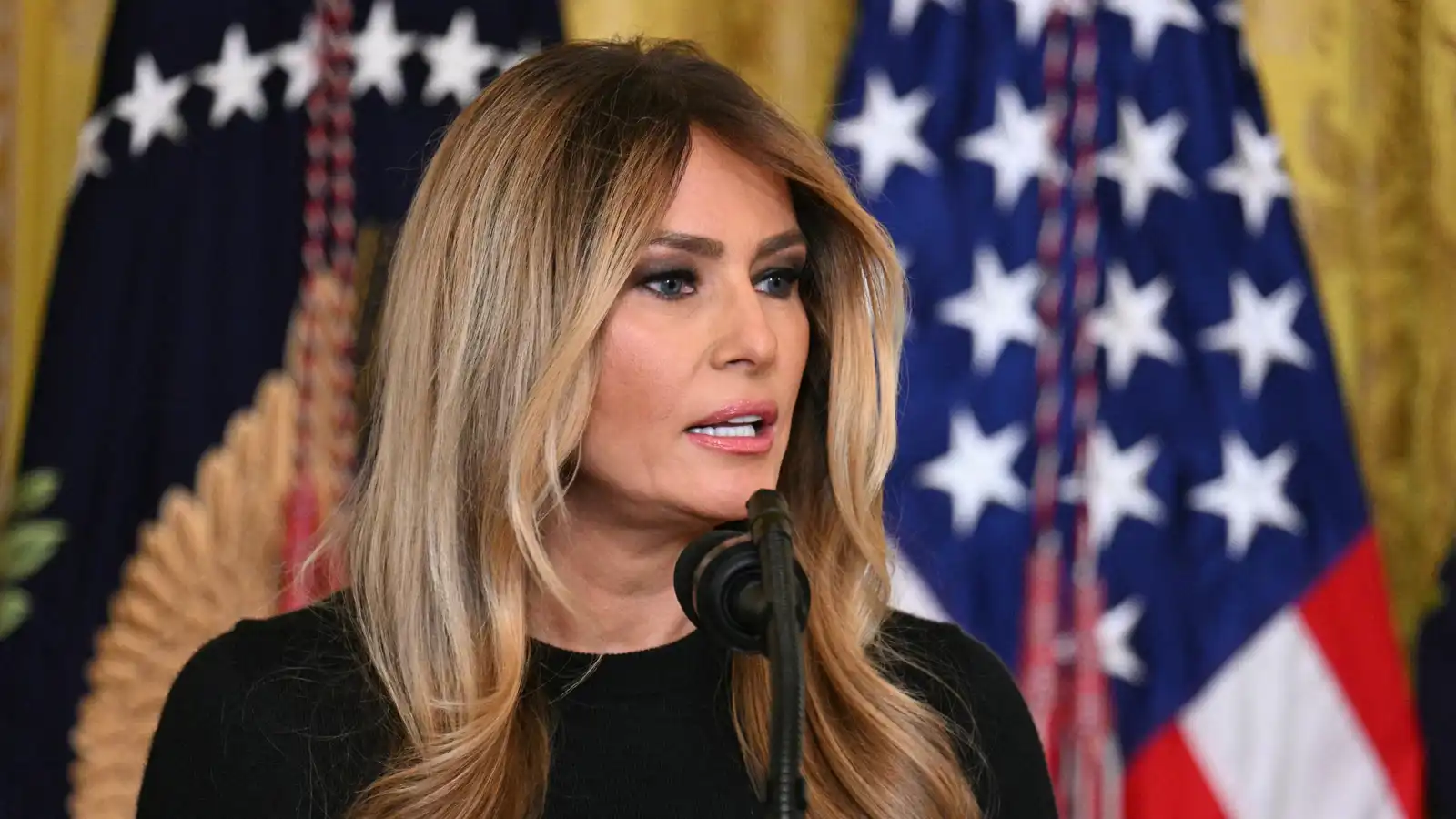 ميلانيا ترامب: "أنا صاحبة رؤية" 