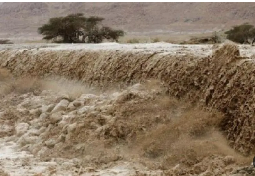 بالفيديو : انقاذ أربعة أشخاص حاصرتهم السيول في الأزرق 