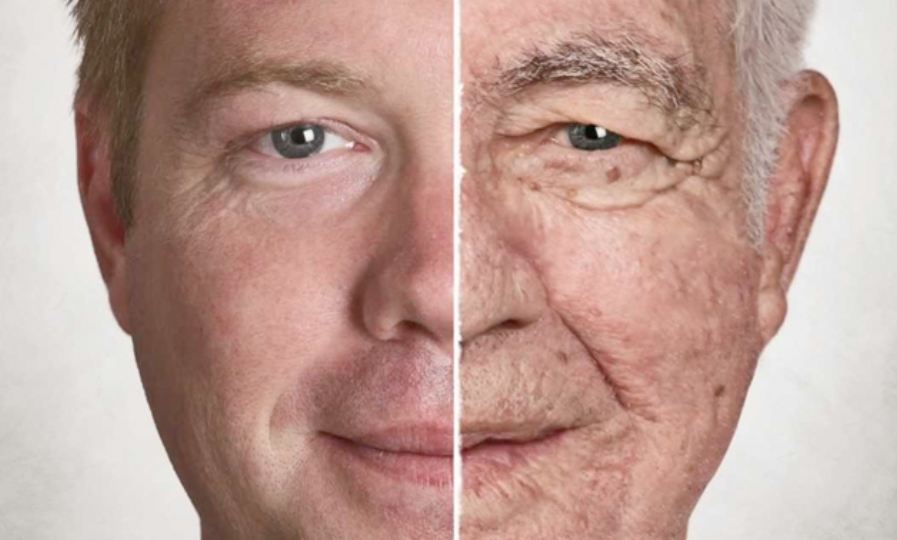 قريباً للبشر ..  علاج مضاد للشيخوخة بعد تجربة ناجحة على القرود