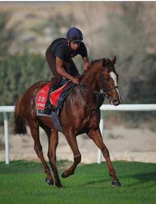 كأس البحرين الدولي يتهيأ بمشاركات عالمية وفعاليات وأجواء استثنائية