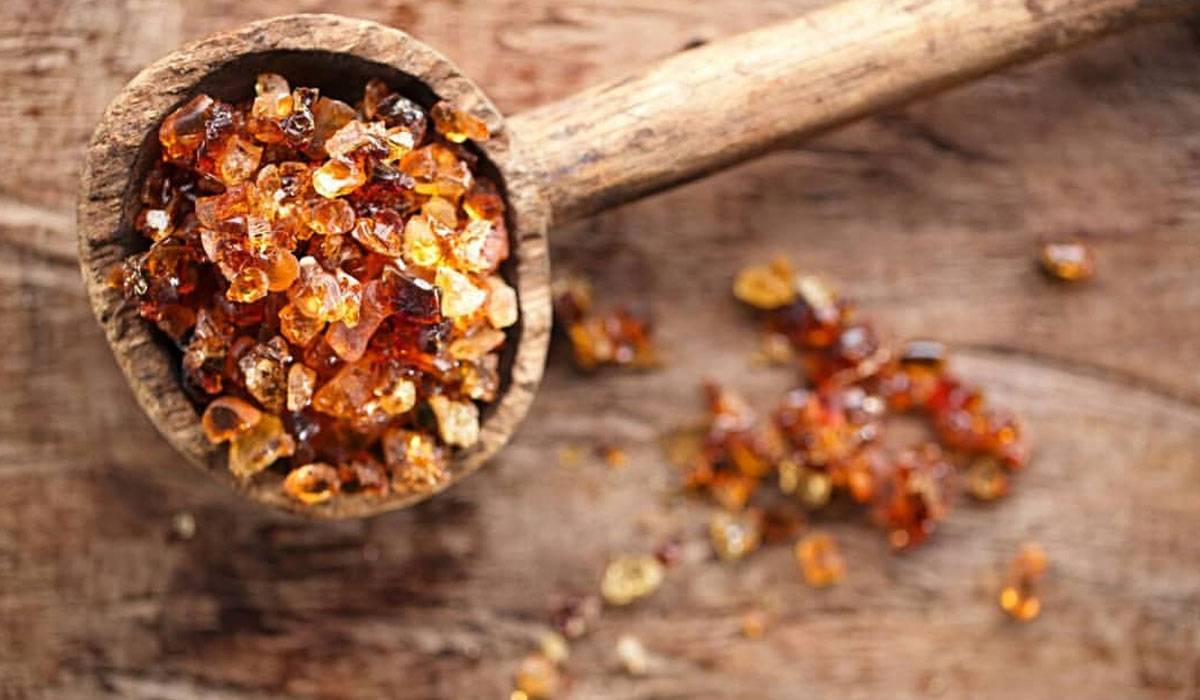 الصمغ العربي يساعد على علاج آلام المعدة والتهاب الحلق ولكن  ..  ما هي فوائده للتخسيس وعلاج السكر؟  