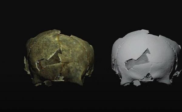 اكتشافات جمجمة أثرية فريدة في القرم
