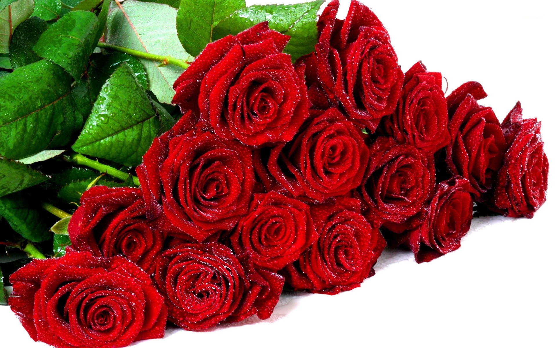 عيد ميلاد سعيد لـ ازهار 