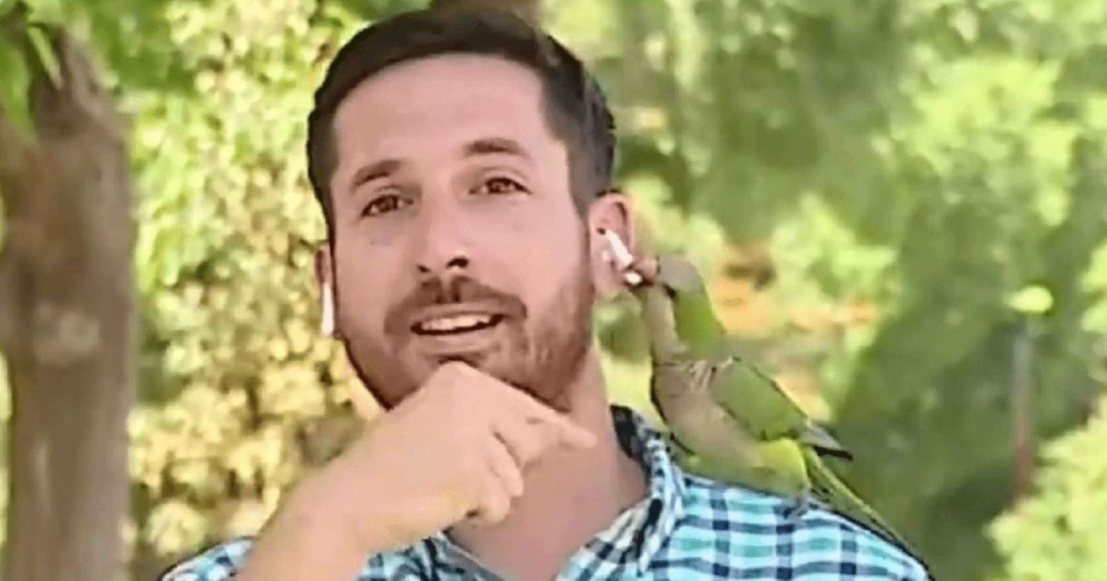 ببغاء يسرق سماعة أذن مراسل تلفزيوني أثناء بثه المباشر ..  فيديو