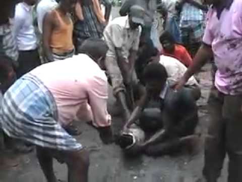 فيديو مذهل لإستخراج عنزة من بطن أناكوندا عملاقة