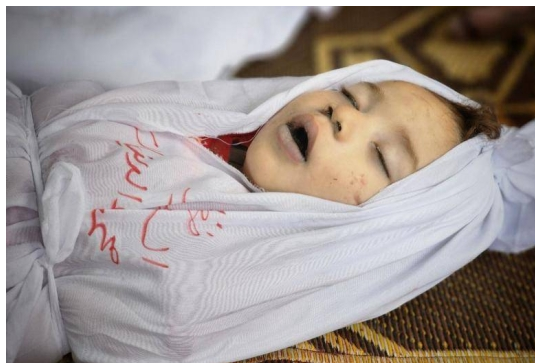 ارتفاع عدد شهداء الأطفال الرضع في غزة إلى 115 منذ بدء العدوان 