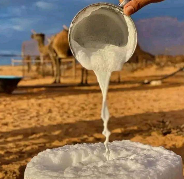 هل من المفيد تناول حليب الإبل؟