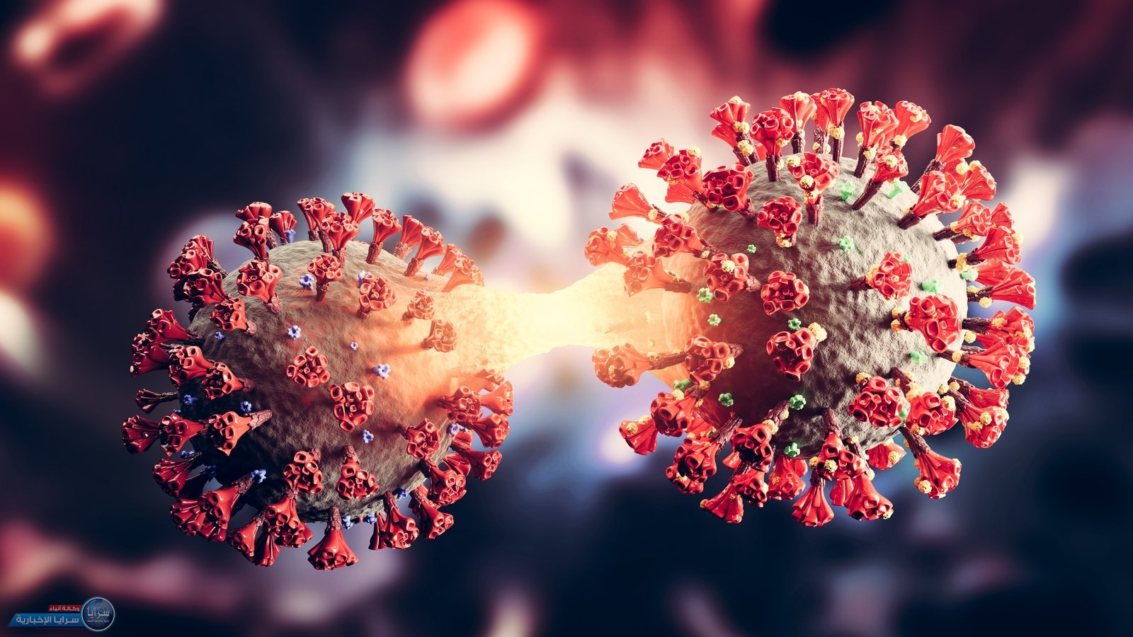 دراسة تؤكد أن الإصابة بمتحور أوميكرون تفرز أجسام مضادة تحمى من جميع المتحورات