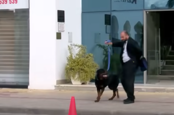 الكاميرا الخفيه: مقلب الكلب