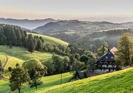 مخبأك الخاص: أفضل أماكن الراحة وسط الطبيعة