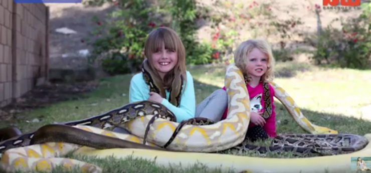 بالفيديو: أمريكي يعيش مع الثعابين الضخمة ويسمح لأطفاله باللعب معها