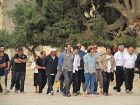 القدس : عشرات الصهاينة يدنسون المسجد الأقصى