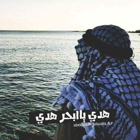بالفيديو  ..  فنانة فلسطينية تعيد "هدي يا بحر" لأبوعرب بتوزيع جديد