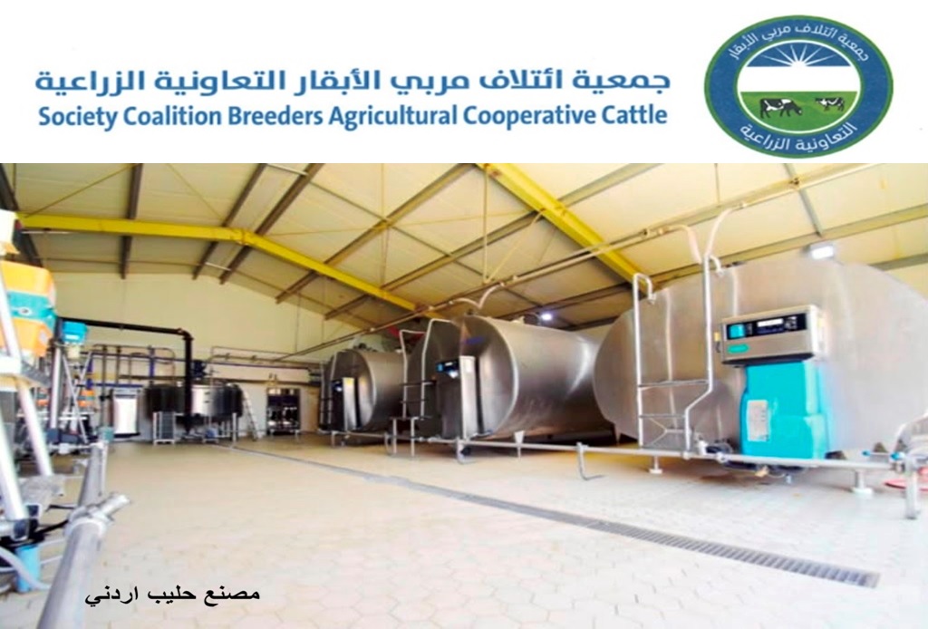 جمعية ائتلاف مربّي الأبقار: تحقيق الأردن اكتفاء ذاتيا من الحليب ومنتجاته ومعلومات غير دقيقة بـ"كتاب الزراعة" 