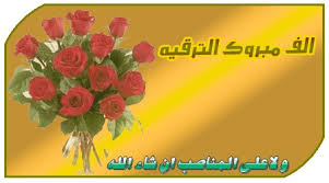 الدكتور إياد عبد الفتاح النسور   .. مبارك الاستاذية