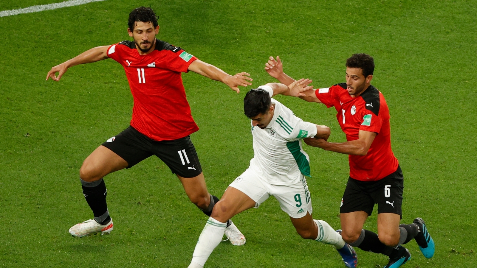 الجزائر تكشف حقيقة التقدم بشكوى ضد مصر في كأس العرب